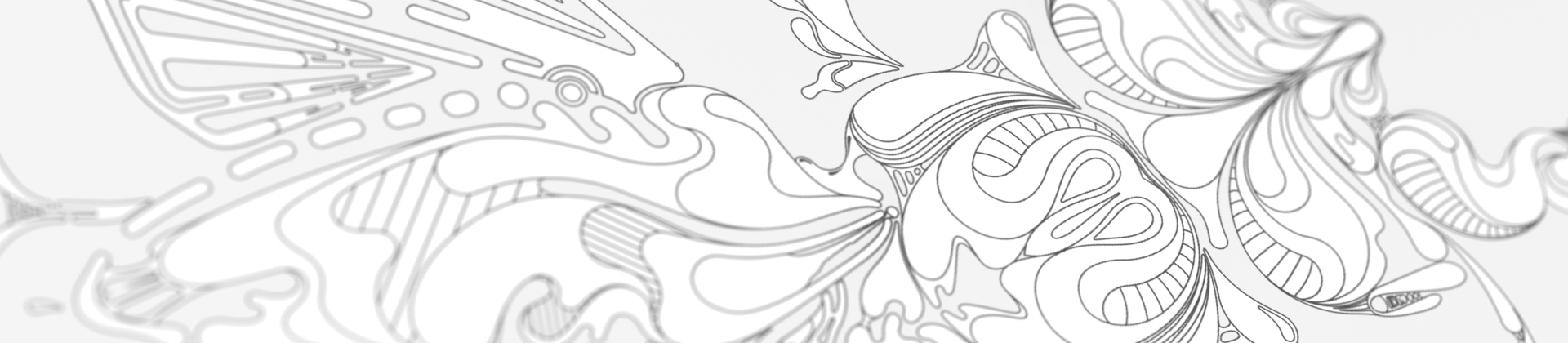 aka illustration - symmetry in nature artwork banner
