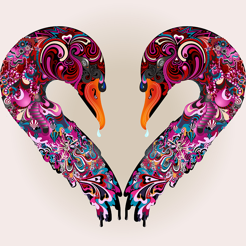 aka illustration - Love artwork swans