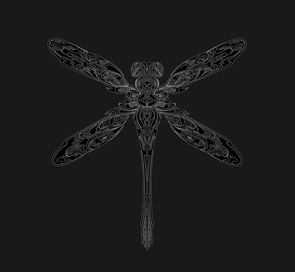 aka illustration - symmetry in nature dragonfly black and white