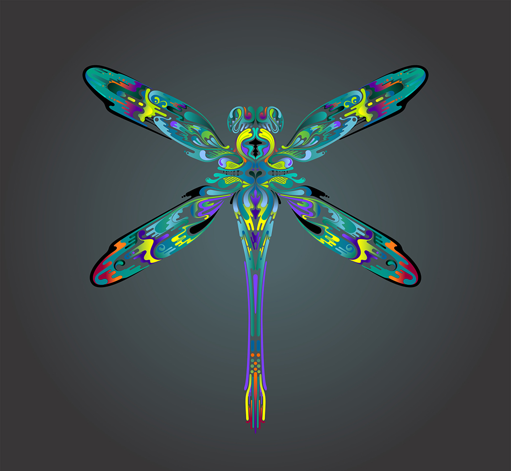 aka illustration - symmetry in nature dragaonfly artwork