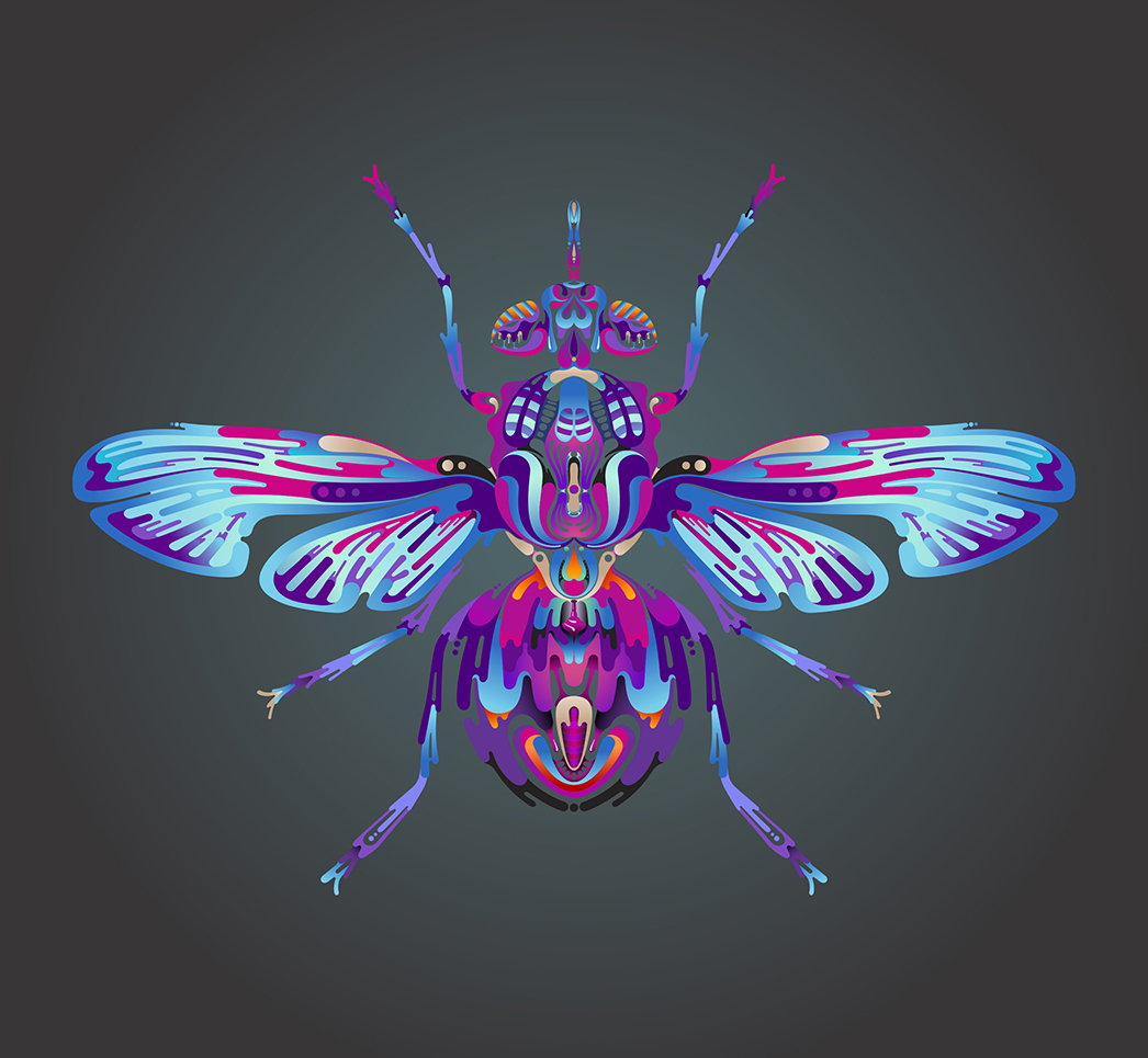 aka illustration - symmetry in nature fly artwork