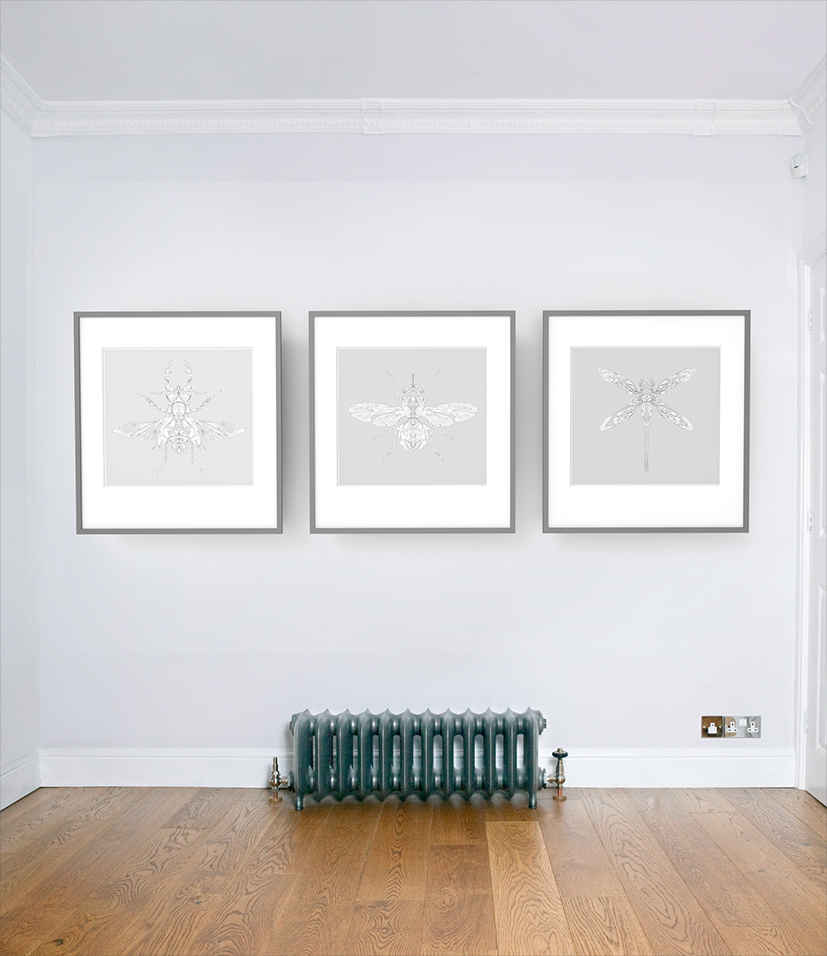 aka illustration - symmetry in nature prints