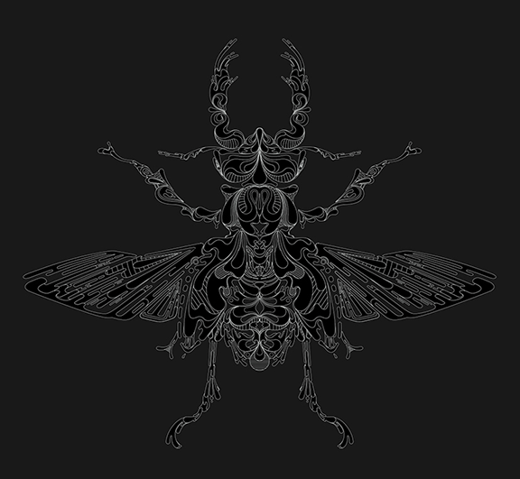 aka illustration - symmetry in nature stag beetle black and white