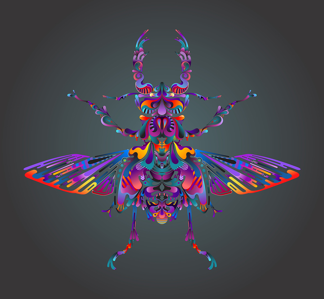 aka illustration - symmetry in nature stag beetle artwork